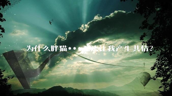 为什么胖猫***无法让我产生共情？