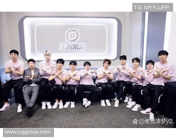 王者荣耀赛事分析：深入探讨JDG战队的耐力与战术表现